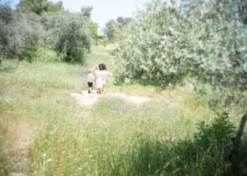 איך לבנות בעולם שבור?