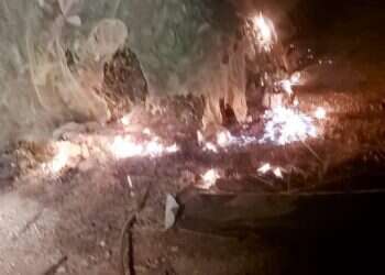 ערבים הציתו מטע דובדבנים בגוש עציון