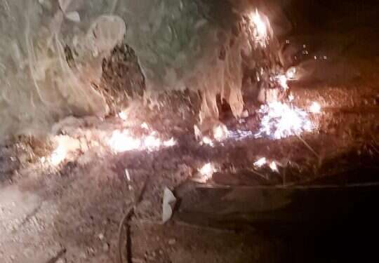 ההצתה במטע הדובדבנים. צילום: ירון רוזנטל ערבים הציתו מטע דובדבנים בגוש עציון