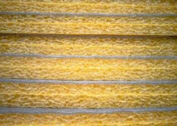 פנל מבודד: כל מה שחשוב לדעת