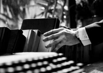 עוד פלילי מומחה