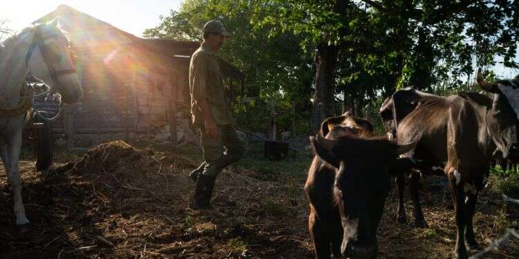 צילום: Sarah L. Voisin Washington Post