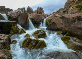 הטריוויה השבועית: דבר אל הסלעים