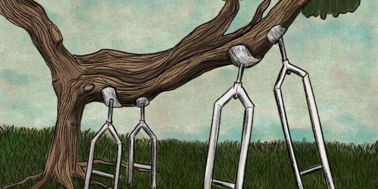 איור: שרון ארדיטי