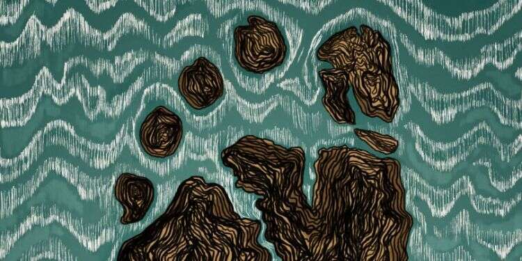 איור: שרון ארדיטי איור: שרון ארדיטי