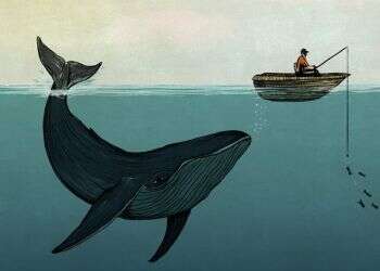 איור: שרון ארדיטי