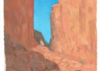 איור: מנחם הלברשטט