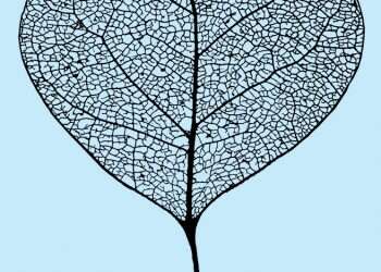 לקרוא את מגילת רות ולהאמין שעוד יש סיכוי לאהבה