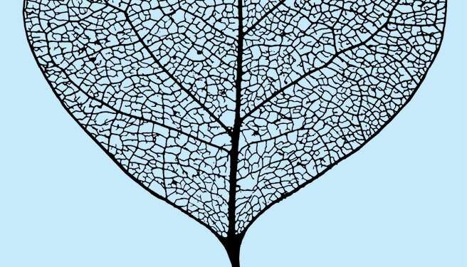 איור: שאטרסטוק לקרוא את מגילת רות ולהאמין שעוד יש סיכוי לאהבה