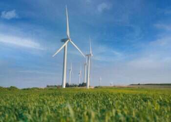 פעילויות לעובדים בחוות הרוח בגלבוע