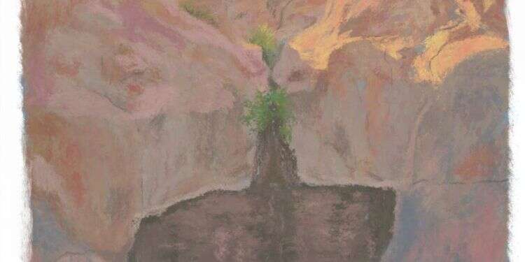 איור: מנחם הלברשטט איור: מנחם הלברשטט