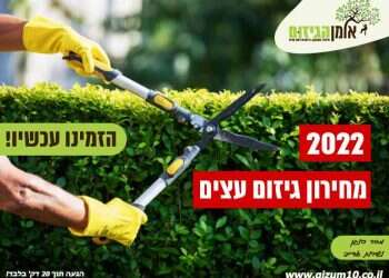 ערכנו שיחה עם אומן הגיזום: מדוע חשוב לבחור חברת גיזום וכריתת עצים מקצועית