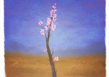 איור: מנחם הלברשטט