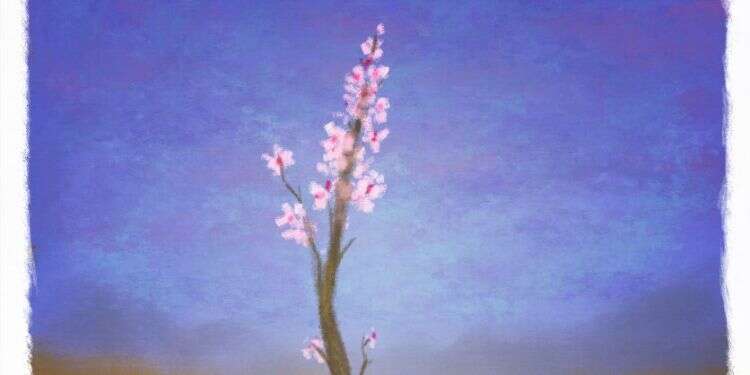 איור: מנחם הלברשטט איור: מנחם הלברשטט