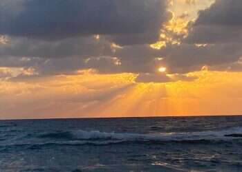 תכניסו ללו"ז: תערוכות, הרצאות והמופעים המוסיקליים של השבוע