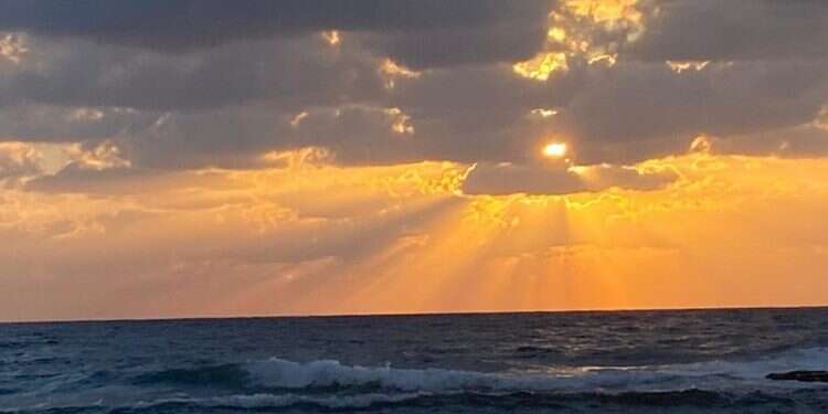 תכניסו ללו"ז: תערוכות, הרצאות והמופעים המוסיקליים של השבוע