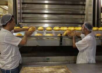 מחיר הלחם עולה: כמעט 8 שקלים ללחם פרוס