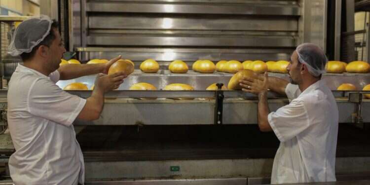 מחיר הלחם עולה: כמעט 8 שקלים ללחם פרוס