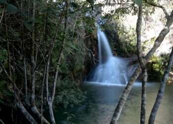 השיבה לגן עדן: בין עץ החיים לעץ הדעת