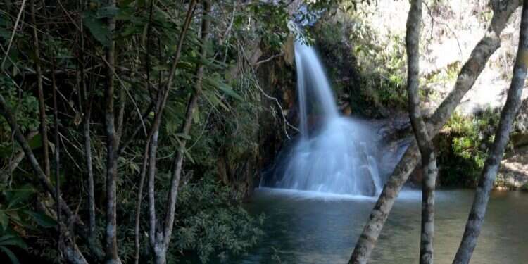 קרדיט תמונה: AFP השיבה לגן עדן: בין עץ החיים לעץ הדעת