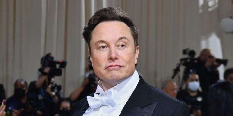 אילון מאסק. צילום: AFP אילון מאסק מתלונן: "אפילו כתבות טריוויאליות עליי גורפות קליקים"