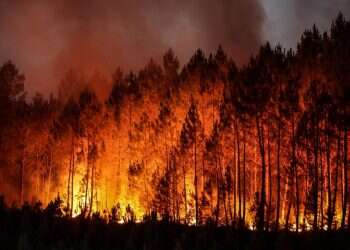 "נסיבות קיצוניות וחריגות": גל חום מבעיר את אירופה