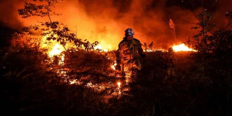 גל החום באירופה. צילום: AFP ארצות החום: משבר האקלים כאן והוא אלים משחשבנו