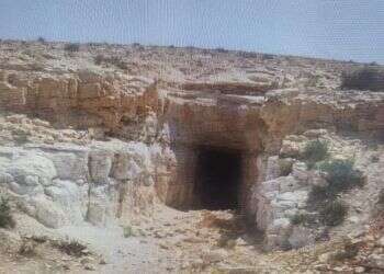 שני אחים בדואים חשודים בניסיון לרצח אחותם