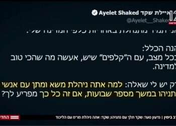 מתעסקים ב"מה שחשוב": איך קרב ציוצים בין סער לשקד תפס את לב החדשות?