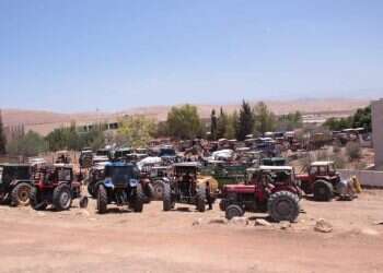 ברשות הפלסטינית מציגים: מבצע חקלאי להשתלטות על שטחי C