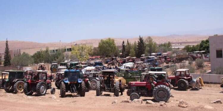 ברשות הפלסטינית מציגים: מבצע חקלאי להשתלטות על שטחי C