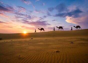 פרשת מסעי: אלו מסעי