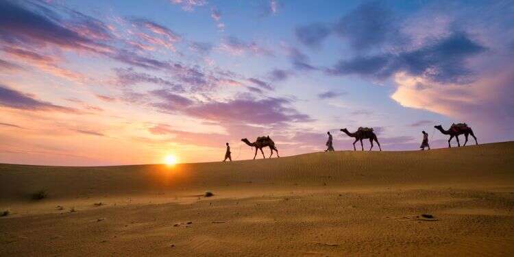 צילום: שאטרסטוק פרשת מסעי: אלו מסעי