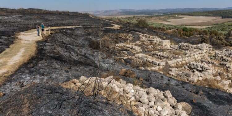 תל גזר לאחר השרפה, השבוע. צילום: יוסי אלוני האש בתל גזר גרמה נזק כבד לאתר התנ"כי שפרעה העניק כנדוניה לשלמה המלך