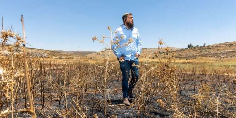 נתי רום בשטח שרוף בגוש שילה. צילום: יוסי אלוני