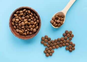 הכירו את הבחירה הנכונה – אקאנה לכלבים תוצרת קנדה