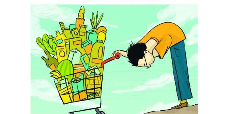 איור: מורן ברק