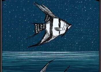 איור: שרון ארדיטי איור: שרון ארדיטי