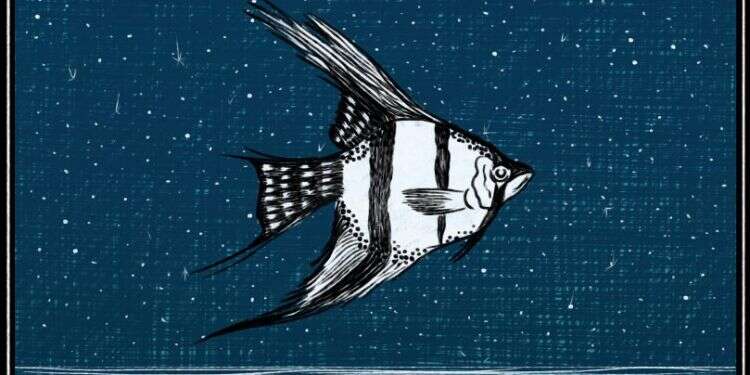 איור: שרון ארדיטי איור: שרון ארדיטי