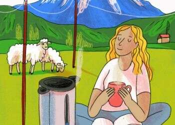 איור: נועה קלנר