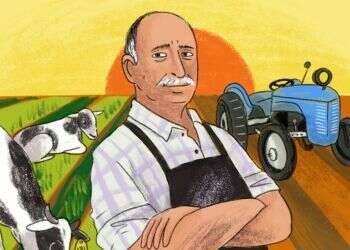 איור: נועה קלנר