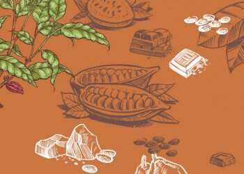 מצילים את השוקולד: בישראל פועלים נגד הנבואות המרירות על עתיד המתוק