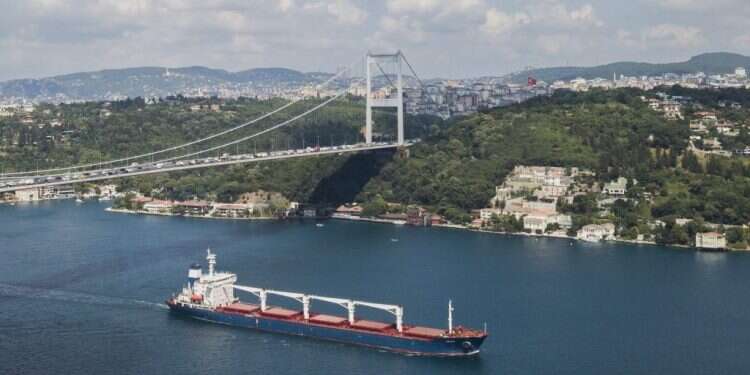 אוניית תירס ראשונה מאודסה עגנה בטורקיה