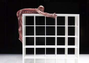 פסטיבל ישראל 2022: מסביב לעולם ב-5 ימים