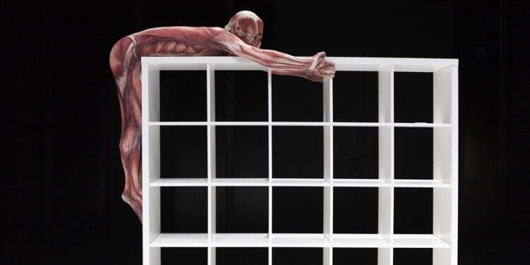 פסטיבל ישראל 2022: מסביב לעולם ב-5 ימים