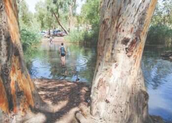 למה כולם פה דוסים