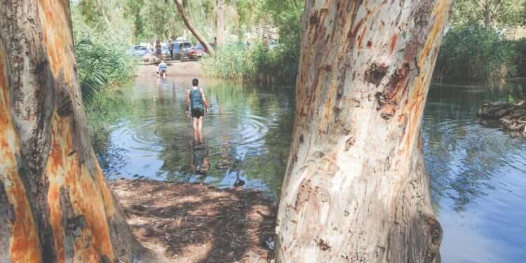 למה כולם פה דוסים