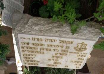 לשימוש חד פעמי