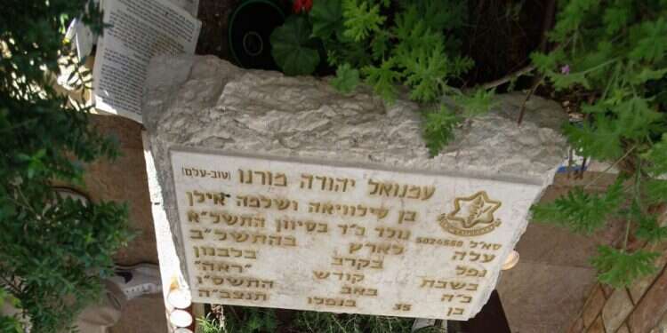 לשימוש חד פעמי