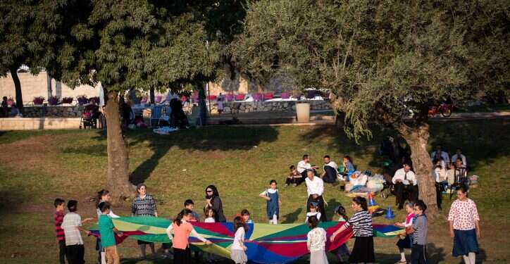 הדשא של השכן